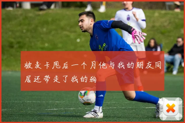被麦卡甩后一个月他与我的朋友同居还带走了我的狗