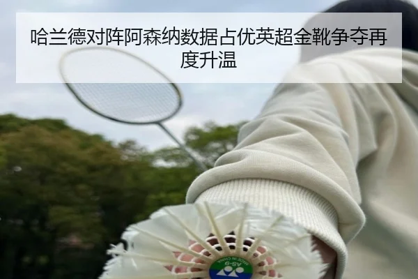 哈兰德对阵阿森纳数据占优英超金靴争夺再度升温（jiangnan）